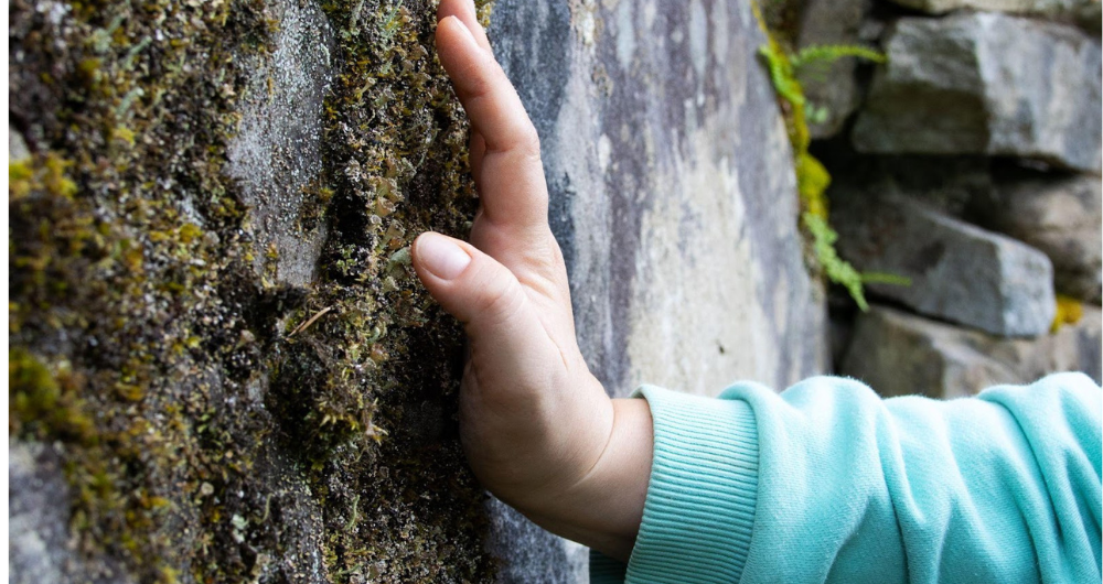 A hand touches moss on stone